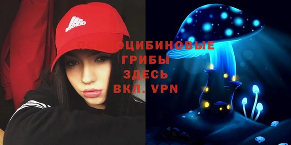 соль курить ск Алзамай