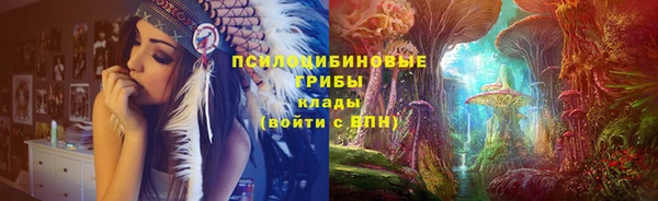 винт Сатка