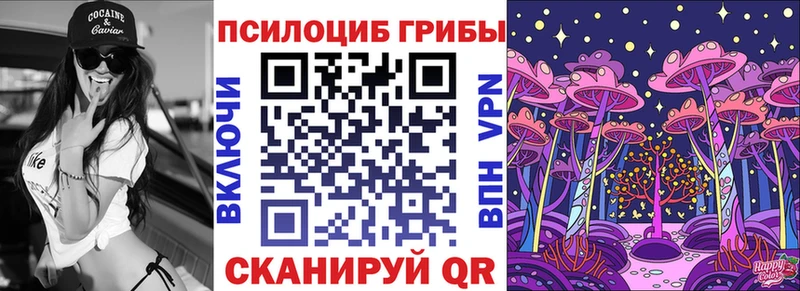 Псилоцибиновые грибы Psilocybe  где можно купить   Коркино 