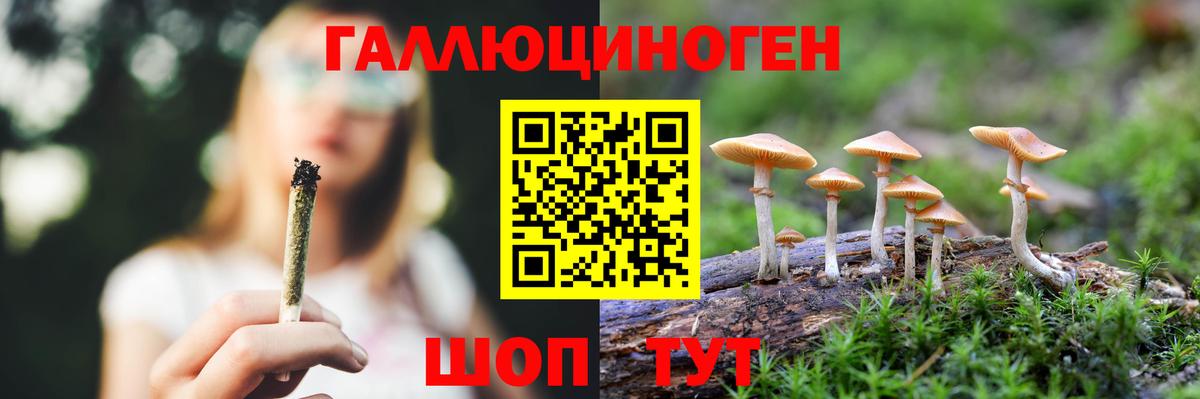 Псилоцибиновые грибы мицелий Коркино